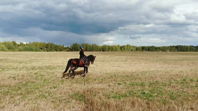 Young woman riding dark brown horse in the field. Wide angle shot, gallop with horse, forest and sky with clouds on the horizon.