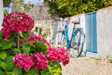 Fototapeta na wymiar Vieux vélo bleu des les rues d'un village fleuri en France.