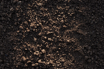 Fertile loam soil suitable for planting, soil texture background.