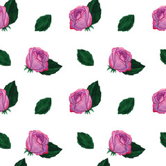 Seamless pattern with watercolor hand drawn rose.