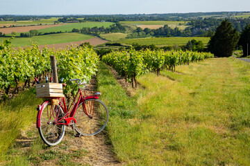 Vieux vélo rouge dans les vignes en France.