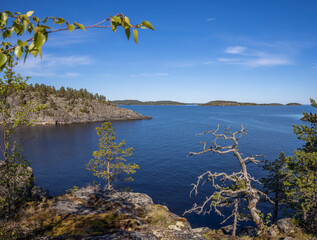 Landscape with a forest on stones over the lake. Sunny day at the lake. Reflection of the sky in the water. Pines on stones. The nature of the north.