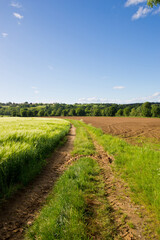 Fototapeta na wymiar Paysage de campagne et chemin de terre à travers la nature au printemps.