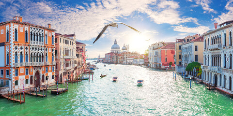 A seagull flies by the Grand Canal buildings, Venice, Italy - obrazy, fototapety, plakaty