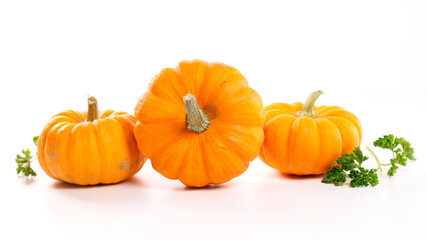 pumpkin isolated on white background