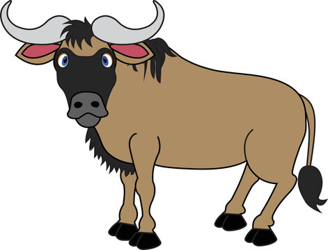 Wildebees