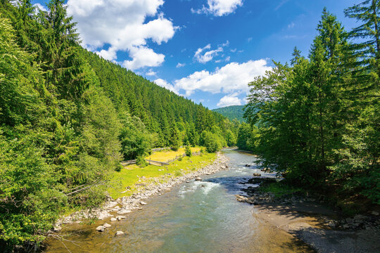 river in the valley of carpathian mountains. beautiful countryside scenery. rural fields on the shore. bright blue sky with fluffy clouds