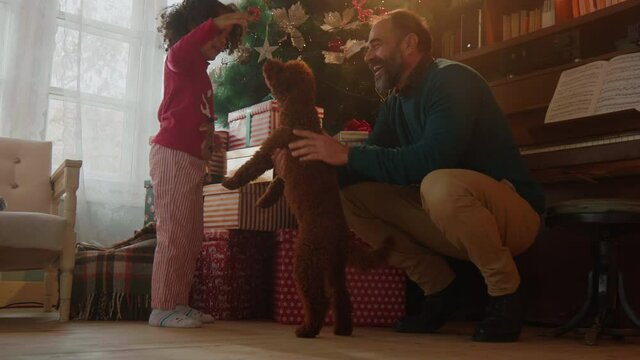 Father and daughter during Christmastime with their dog