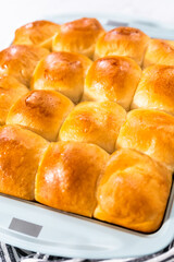 Dinner rolls