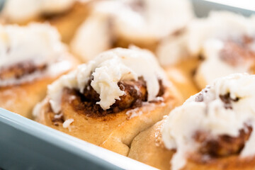 Cinnamon rolls