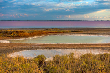 Sasyk Sivash  salt lake with pink water.