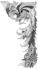 Chinese phoenix or Feng Huang Fenghuang mythological bird. One of celestial feng shui animals. Graphic style vector illustration. Black and white