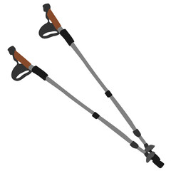 Nordic walking sticks. Vector isolated illustration.