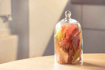 Small bouquet of autumn colourful leaves in glas. Still life, seasonal  decoration. Home decor, simple leaf arrangement, home interior.