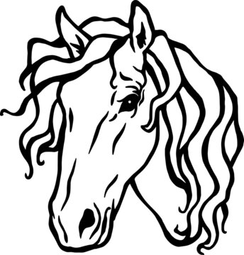 Black Horse Head Vector Illustration set on white background. Perfect for any horse project or theme. Suitable for web design, print, Perfectly suited for traditional media and web. Great for crafters