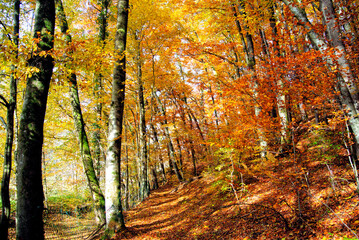 Herbst 2021