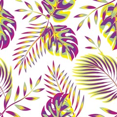 summer themed colorful with topical seamless pattern palm fern leaves and monstera plants foliage on white background. vector design. nature decorative. Exotic tropics wallpaper. fashionable texture