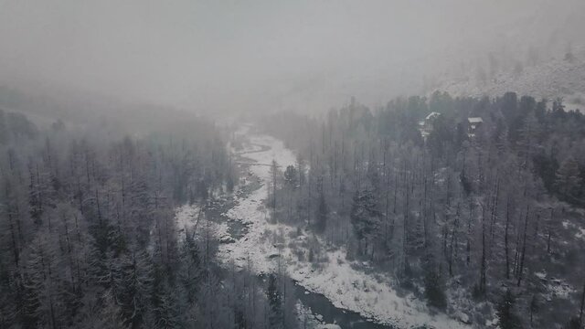 Storm, snowfall in the huge glacier of Mount Belukha, the valley of the Aktru River, the Altai Mountains. Cloudy weather, stone in the snow, storm, wildlife, winter forest, frozen mountain river in