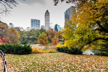 Central Park in fall, New York