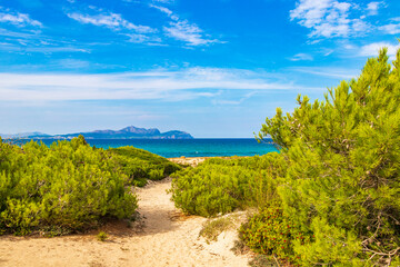 Path thru natural coast landscape Can Picafort Mallorca Spain.