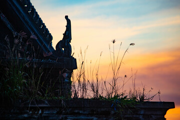 The picture of the grass growing on the roof of the abandoned pavilion was taken during the sunset.