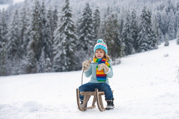 Fototapeta na wymiar Boy sledding, enjoying sleigh ride. Child sitting on the sleigh. Children play with snow. Winter vacation concept. Wonderful Christmas scene.