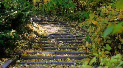 old steps in autumn park|