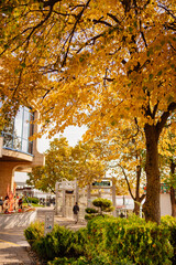 autumn landscape on the waterfront. the beauty of nature