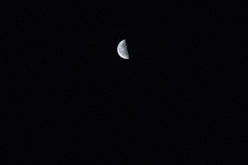 half the Moon in the night sky