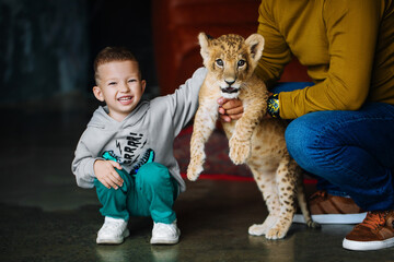 Father and son play with little lion cub in the room
