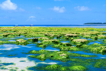 View on Indian ocean at the Zanzibar island. Mnemba island at horizon