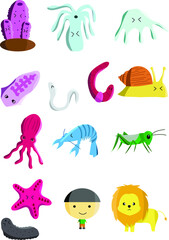 animals in animalia kingdom cartoon