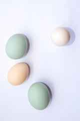 Egg isolated on a white background