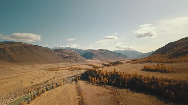Altai Republic, Siberia, Russia. A flowing turquoise-green curved river in the field, sparse trees, endless fields and steppe and huge snowy mountains in the background. aerial view of the beautiful