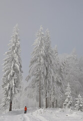 Winterwanderung in den Voralpen 