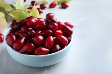 Fresh ripe dogwood berries in bowl on light grey table. Space for text