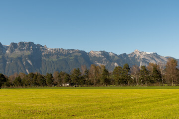 Schaan, Liechtenstein, October 14, 2021 Vegetation on a green field in an alpine scenery