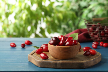 Fresh ripe dogwood berries in bowl on blue wooden table. Space for text