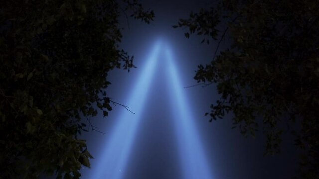 Leaves Moving In Front Of September 11th Memorial Lights In New York City