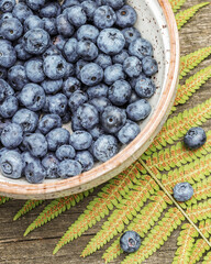 Wild blueberries. Food, summer composition with organic, blueberries in a bowl and fern leaf on a wooden background. Eco friendly, mindful eating. Immune boosting food, natural remedy for immunity