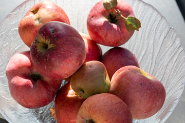 Frische Apfel vom Baum in Glasschale