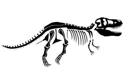 Fototapeta na wymiar Tyrannosaurus Anatomical Complete T-Rex Skeleton HD Vector Art Transparent Background