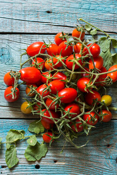 Vesuvius red Piennolo or simply Vesuvian Tomato, on blue wooden background. Piennolo is a cluster tomato grown in Naples, Italy.