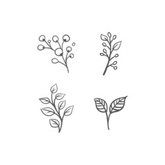 Floral graphic elements vector set. Flowers and plants hand drawn illustrations. Nature ornaments.