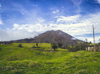 Fototapeta premium landscape with sky