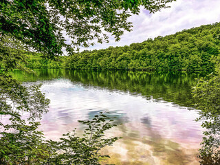lake in the forest