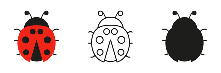 Obraz premium Ladybugs cute characters set. Ladybirds in three different view. Vector illustration for drawing 