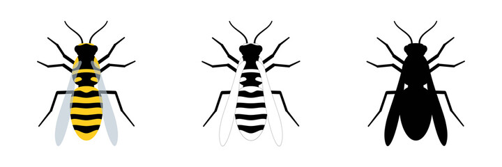 Wasp set. Color, black and white, silhouette wasp collection. Vector illustration for drawing.