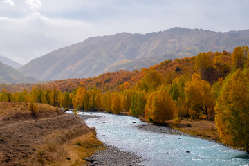 Colorful autumn forest mountains with river for wallpaper design.