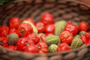 Dried tomatoes, autumn vegetables, harvest, autumn vegetables